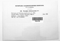 Image Associated With the Occurence